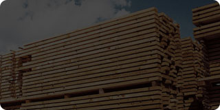 去中间环节+无差价+货真价实